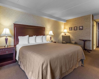 Business Room, 1 King Bed, Non Smoking