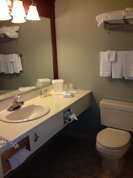 Business Room, 1 King Bed, Non Smoking
