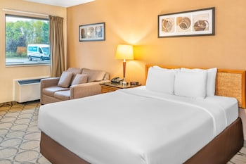 Standard 1 Queen bed w/sofabed Non-Smoking Ground floor