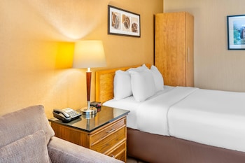 Standard 1 Queen bed w/sofabed Non-Smoking Ground floor