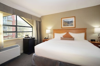 Deluxe Room, 1 King Bed