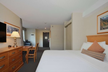 Junior Studio Suite