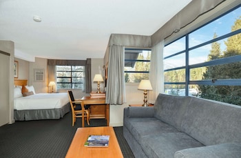 Junior Studio Suite