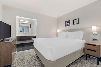 Suite, 1 Queen Bed with Sofa bed (One Bedroom)