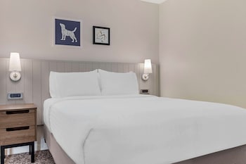 Suite, 1 Queen Bed with Sofa bed (One Bedroom)