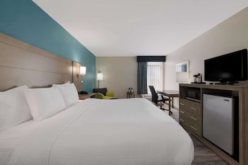 Standard Room, 1 King Bed, Non Smoking, Refrigerator & Microwave