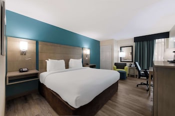 Standard Room, 1 King Bed, Accessible, Bathtub