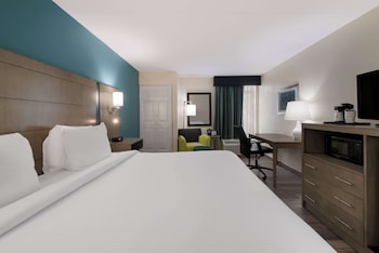 Standard Room, 1 King Bed, Accessible, Bathtub