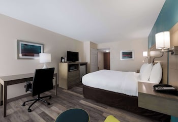 Standard Room, 1 King Bed, Non Smoking, Refrigerator & Microwave