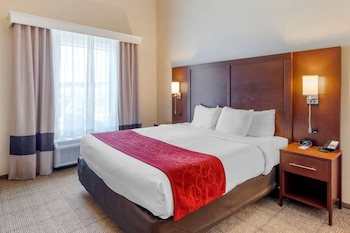 Suite, 1 King Bed with Sofa bed, Accessible, Non Smoking