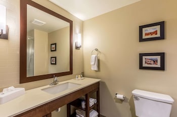 Suite, 1 King Bed with Sofa bed, Non Smoking