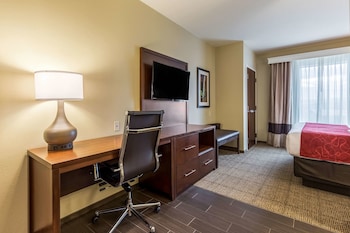 Suite, 1 King Bed with Sofa bed, Non Smoking