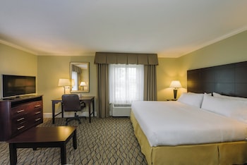 Suite, 1 King Bed