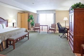 Suite, 1 King Bed (Additional Living Area)