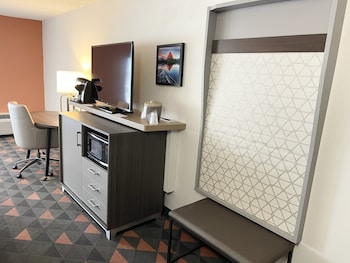 Suite, 1 Bedroom, Roll-in Shower (Communications, Roll-In Shower)