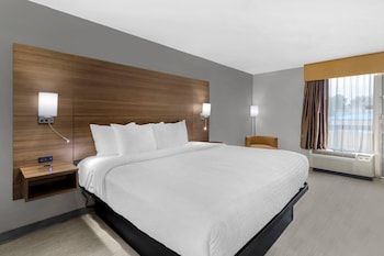 Standard Room, 1 King Bed, Non Smoking