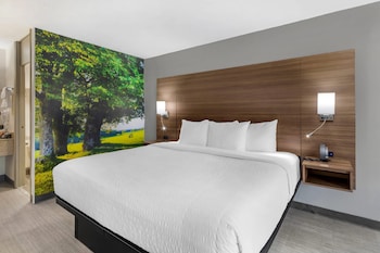 Standard Room, 1 King Bed, Non Smoking