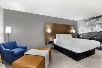 Room, 1 King Bed, Accessible, Smoking