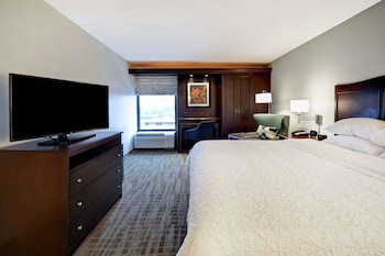 Room, 1 King Bed, Non Smoking