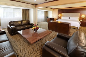 Suite, 1 King Bed