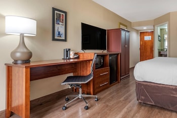 Standard Room, 1 King Bed, Non Smoking