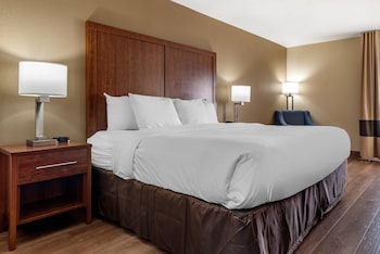 Standard Room, 1 King Bed, Non Smoking