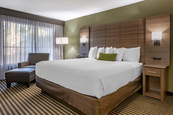 Standard Room, 1 King Bed, Non Smoking, Courtyard View