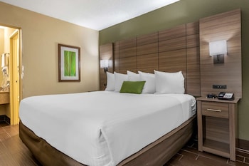 Standard Room, 1 King Bed, Smoking