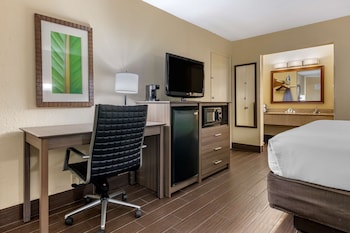 Standard Room, 1 King Bed, Smoking