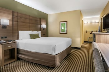 Standard Room, 1 Queen Bed, Accessible, Non Smoking