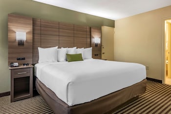 Standard Room, 1 King Bed, Non Smoking