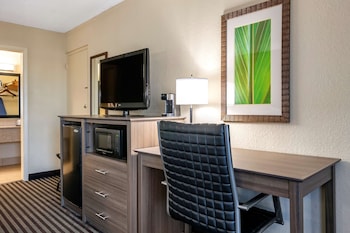 Standard Room, 1 Queen Bed, Accessible, Non Smoking