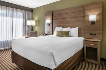 Standard Room, 1 King Bed, Non Smoking