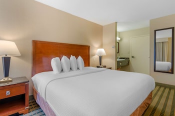 Standard Room, 1 King Bed, Accessible, Refrigerator & Microwave