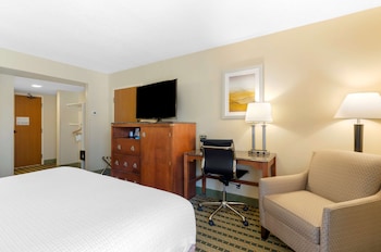 Standard Room, 1 King Bed, Accessible, Refrigerator & Microwave