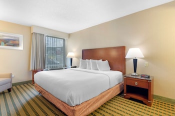 Standard Room, 1 King Bed, Accessible, Refrigerator & Microwave