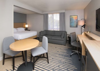 Studio Suite, 1 King Bed