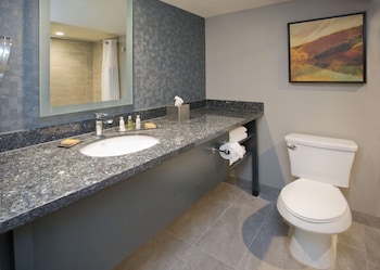 Room, 1 King Bed, Accessible, Poolside (Mobility & Hearing, Bathtub)