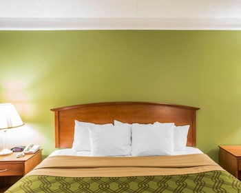 Room, 1 King Bed, Accessible, Non Smoking