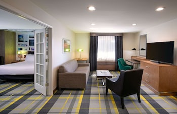 Suite, 1 King Bed (Professor)