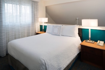 Studio, 1 Queen Bed with Sofa bed