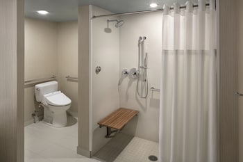 Room, 1 King Bed, Accessible (with Roll-in Shower)
