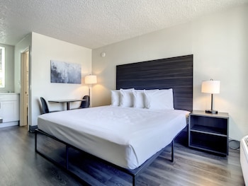 Basic Room, 1 King Bed, Non Smoking