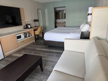 Deluxe Room, 1 King Bed, Non Smoking, Lake View