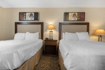 Room, 2 Queen Beds, Non Smoking (Pet friendly)