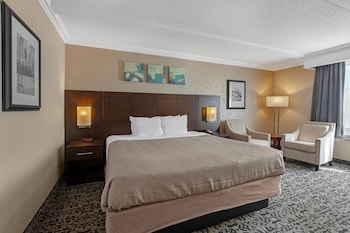 Room, 1 King Bed, Non Smoking