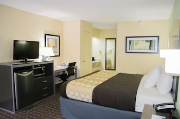 Standard Room, 1 King Bed, Non Smoking