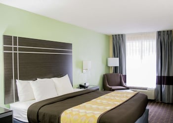 Standard Room, 1 King Bed, Non Smoking