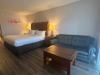 Room, 1 King Bed with Sofa bed, Non Smoking (Lakefront)