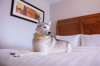 Room, 2 Queen Beds, Non Smoking